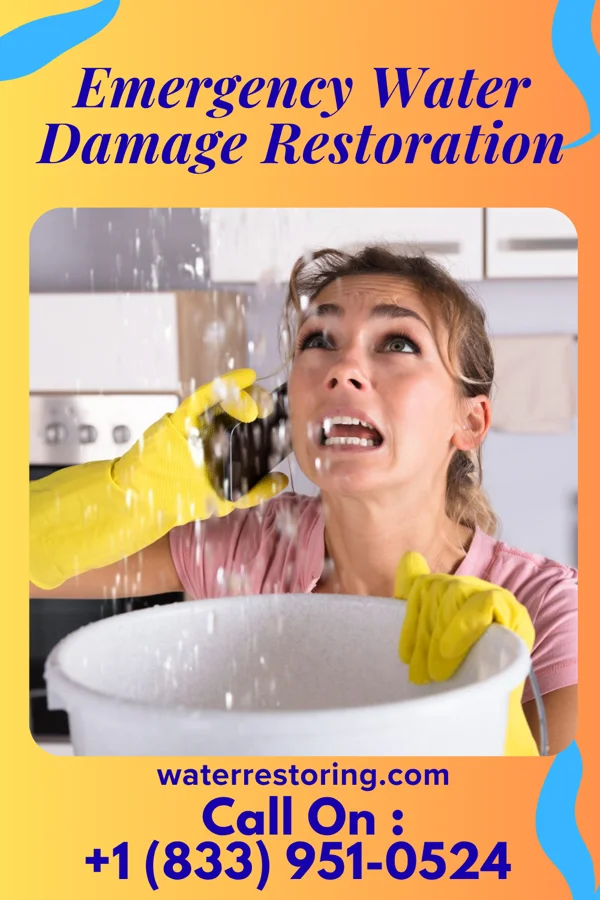 Emergency Water Damage Restoration in Harvey, MI