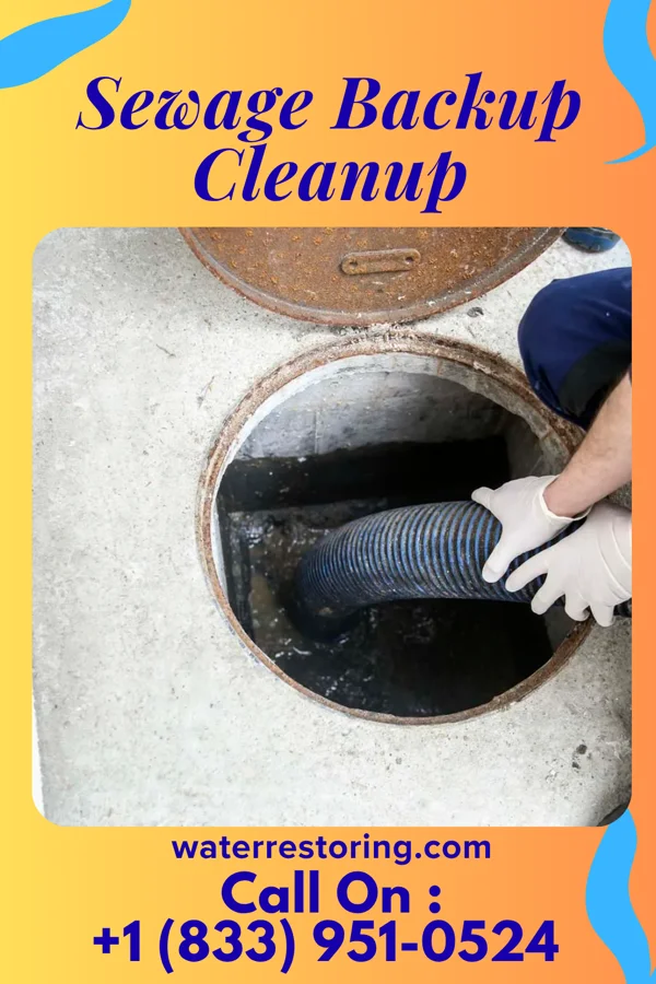 Sewage Backup Cleanup in Harvey, MI