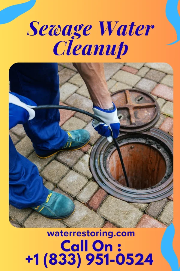 Sewage Water Cleanup in Harvey, MI